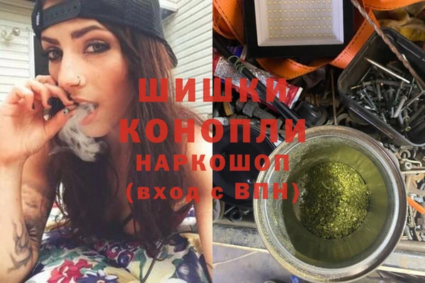 ешки Белокуриха
