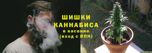 ешки Белокуриха