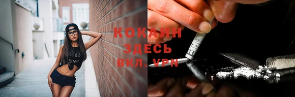 ешки Белокуриха