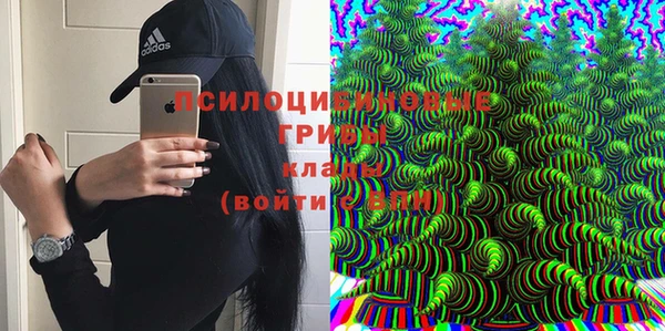 прущие грибы Белоозёрский