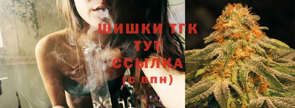 ешки Белокуриха