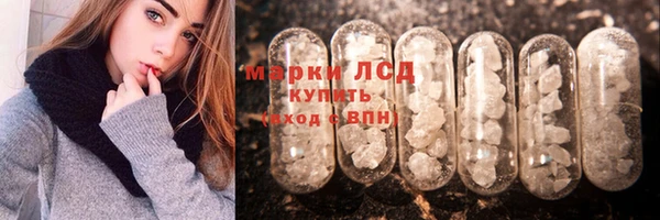прущие грибы Белоозёрский