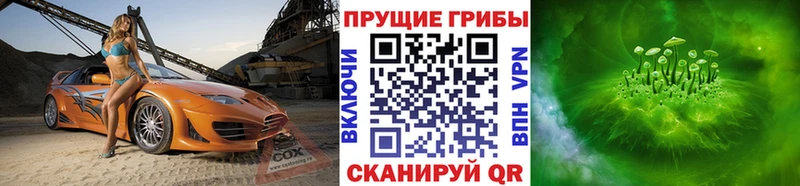 блэк спрут рабочий сайт Вяземский Псилоцибиновые грибы ЛСД